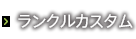 ランクルカスタム